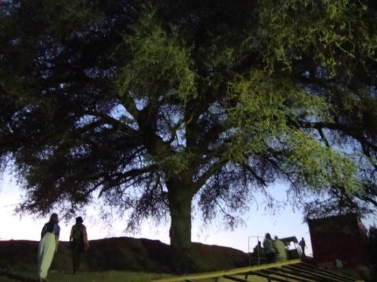 Tuti Island-喀土穆必去景点