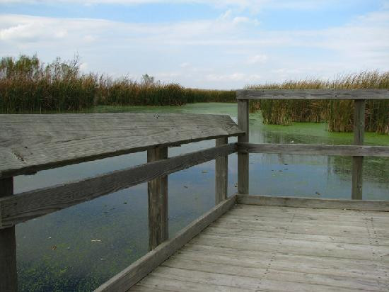 Horicon Marsh-Mayville必去景点