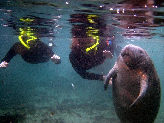 River Ventures-克里斯特尔里弗必去景点