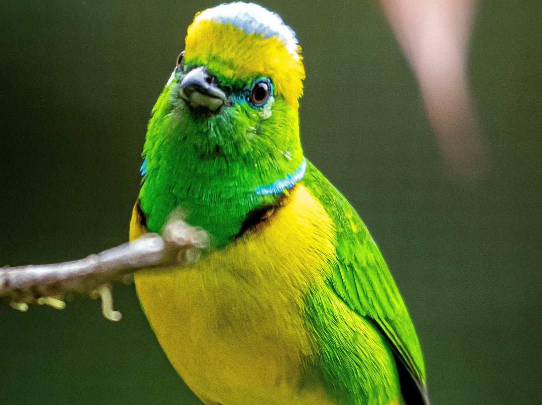 Monteverde Experts-Los Tornos必去景点