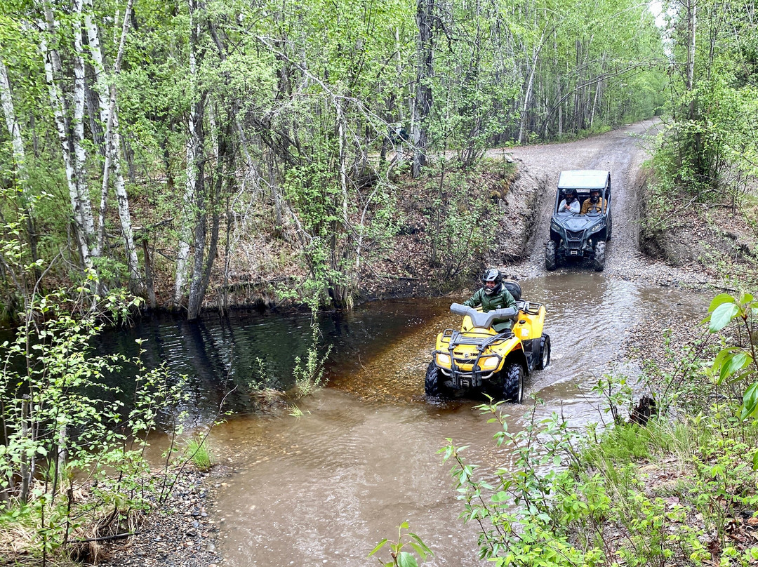 The Alaskan Experience-北极必去景点