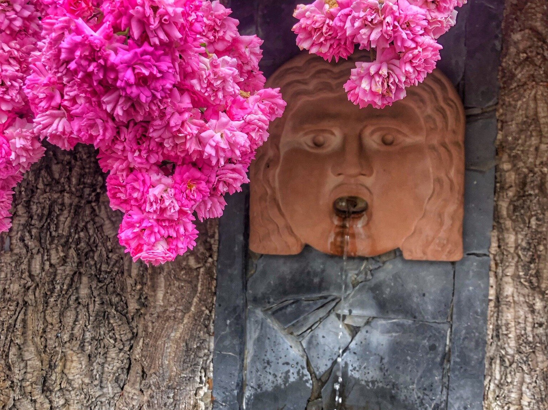 Les Jardins de la Quinta das Mil Flores景点图片