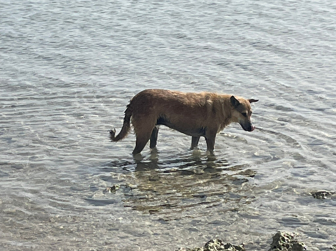 HorseTrips Hurghada-赫尔格达必去景点