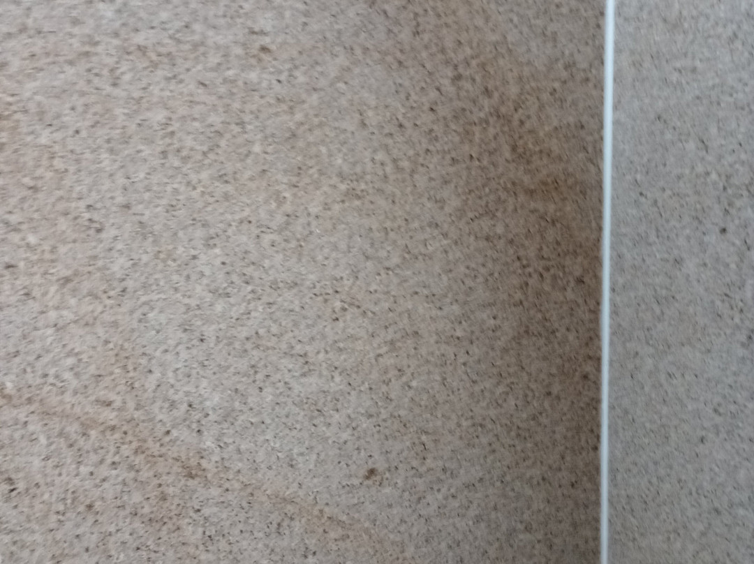 Country Inn & Suites by Radisson, Albany, GA主图