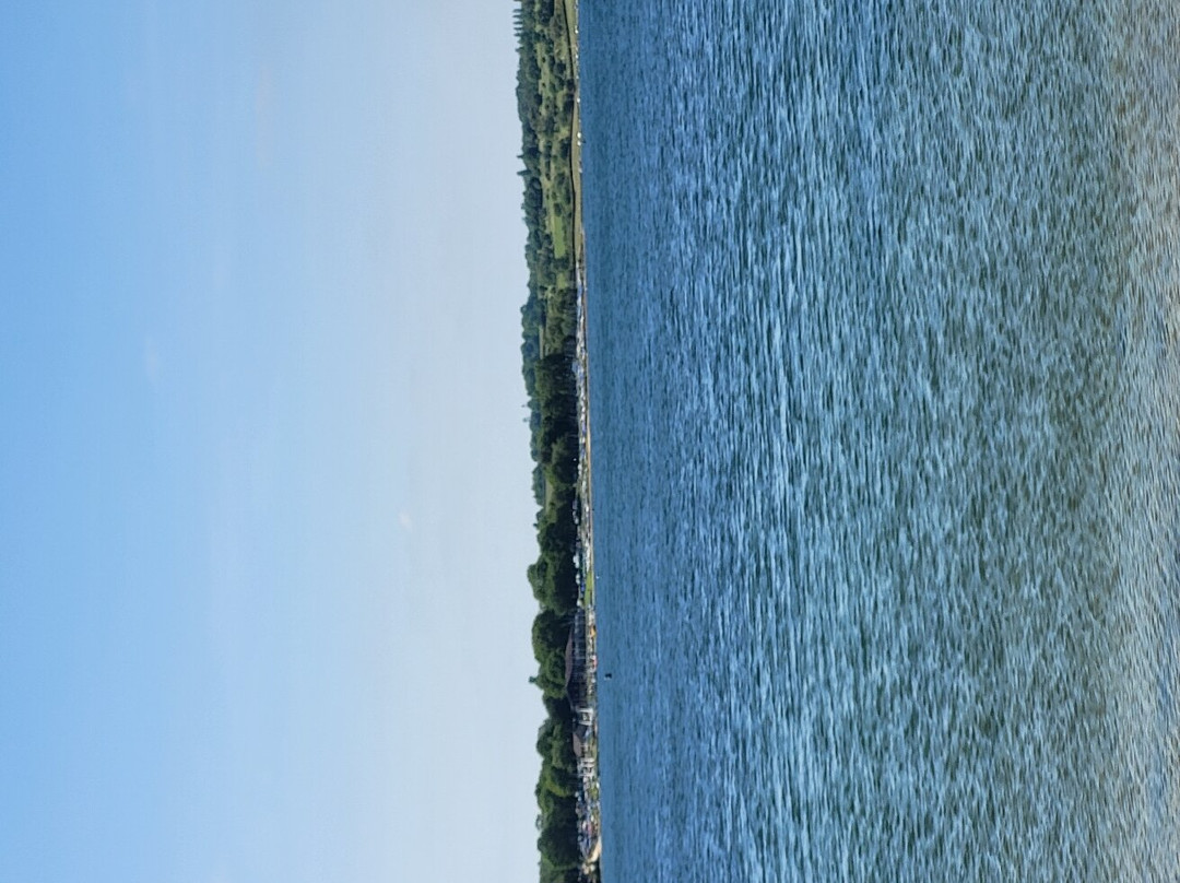 Rutland Water景点图片
