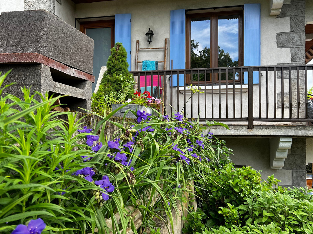 La Maison Du Chevalier主图