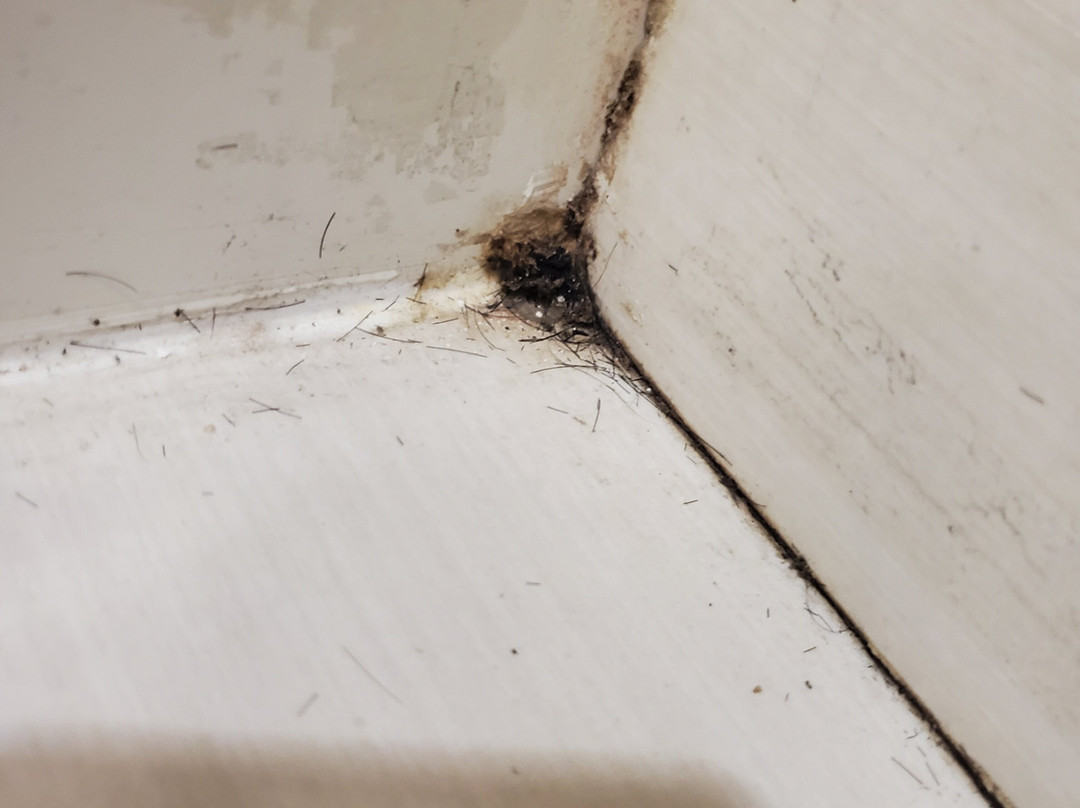 Comfort Inn & Suites Watervliet主图