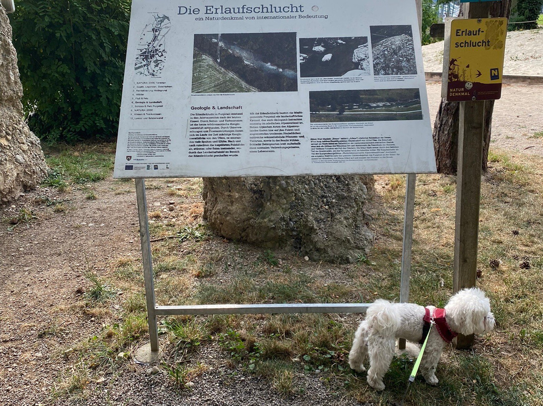 Erlaufschlucht景点图片