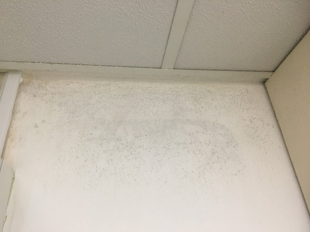 Lancaster University Guest Rooms主图