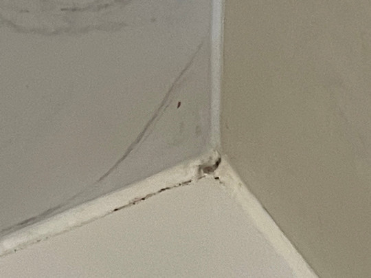 Baymont by Wyndham Creedmoor主图