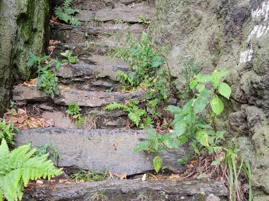 Wolfsschlucht (Alpiner Wanderweg)景点图片