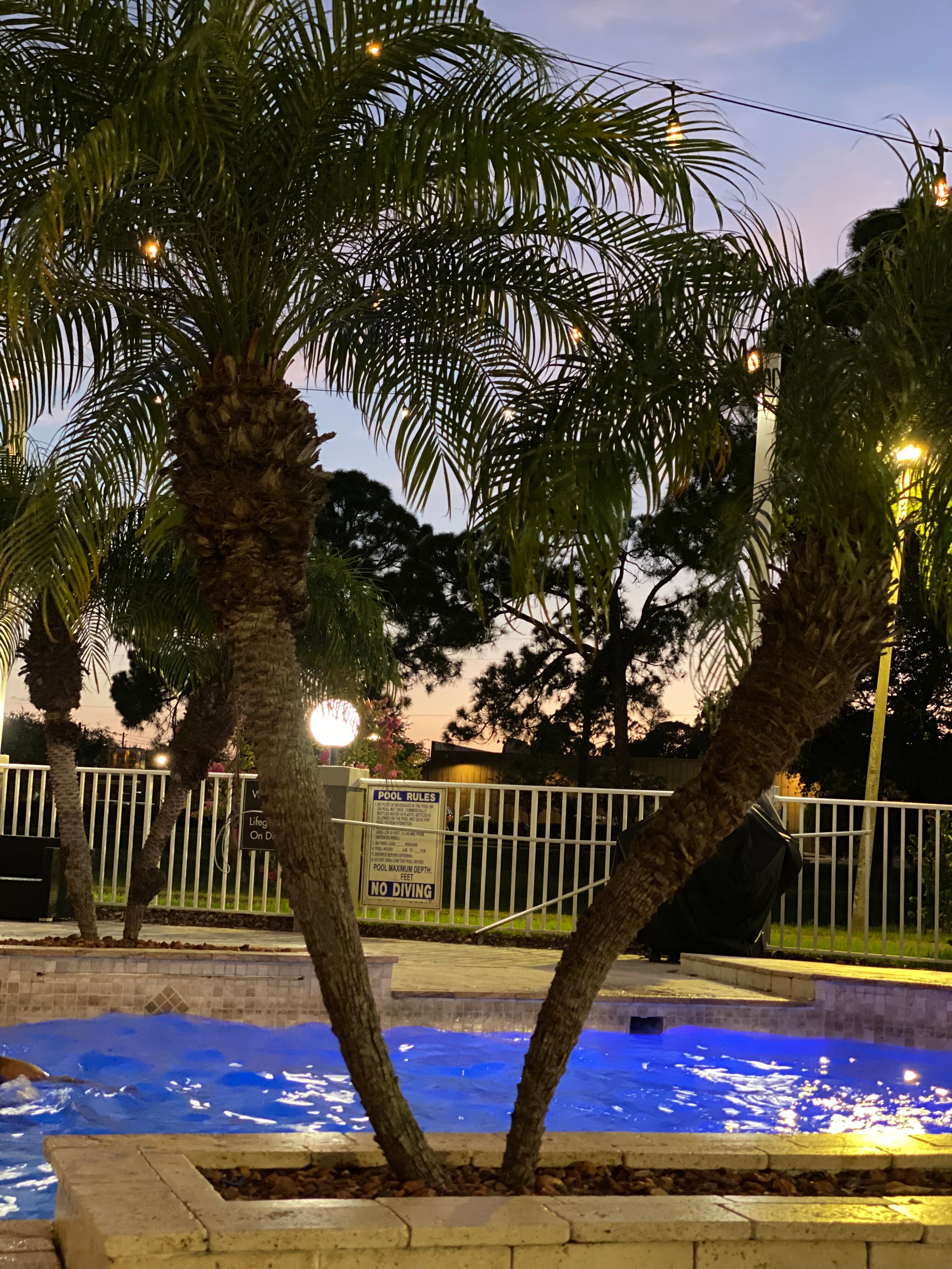 Sleep Inn Clearwater - St Petersburg-泳池