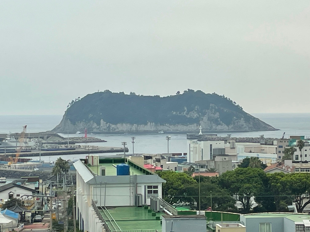 Hotel Bridge Seogwipo主图