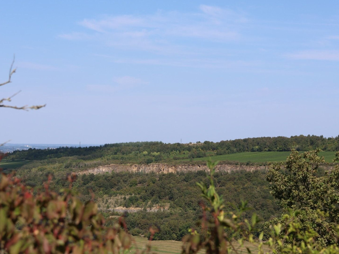 Site Archéologique de Chassey-le-camp景点图片