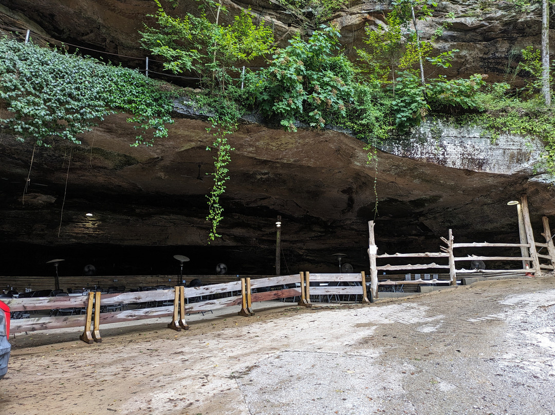 Rattlesnake Saloon-Tuscumbia必去景点