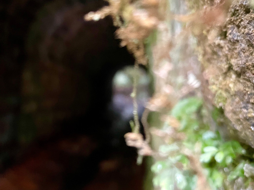 The Big Culvert-Marysville必去景点