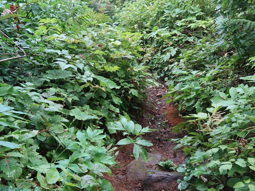 Mount Bandaisan-耶麻郡必去景点