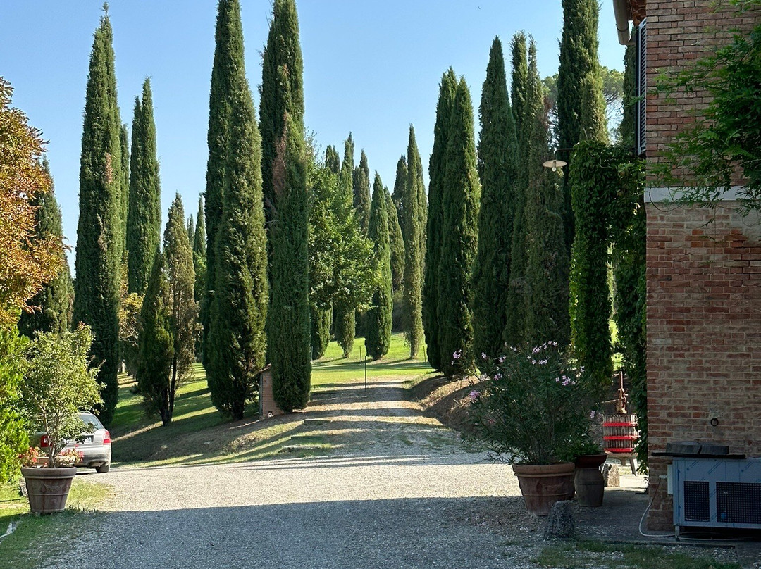 圣塔佛莱多农庄酒店主图