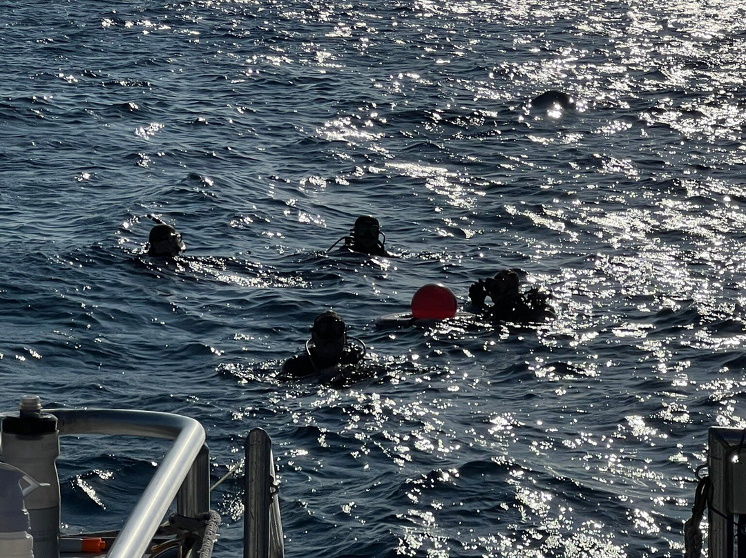 Dive Bermuda at Somerset-Sandys Parish必去景点