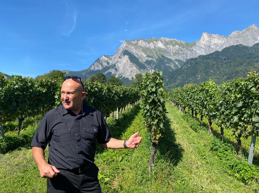 Wine Tours Switzerland景点图片