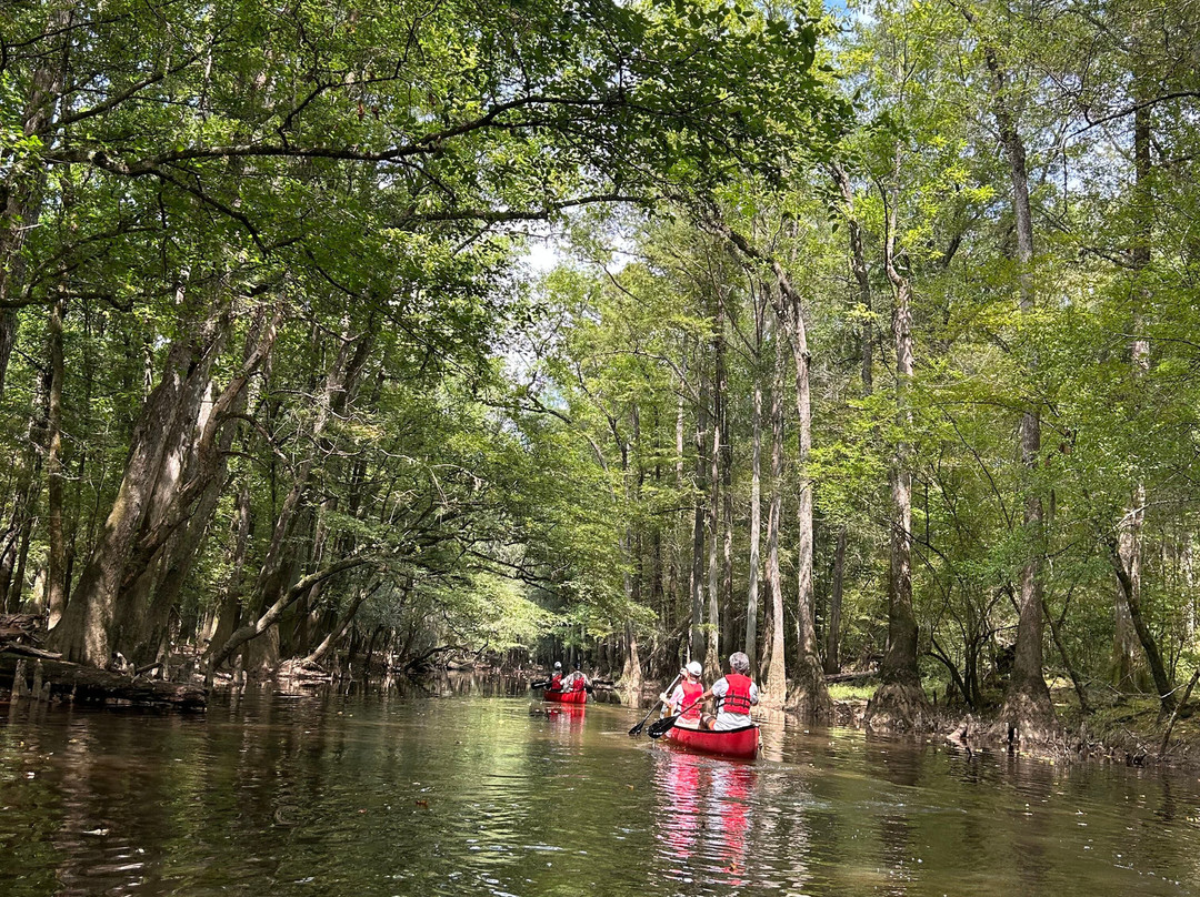 Palmetto Outdoor-West Columbia必去景点