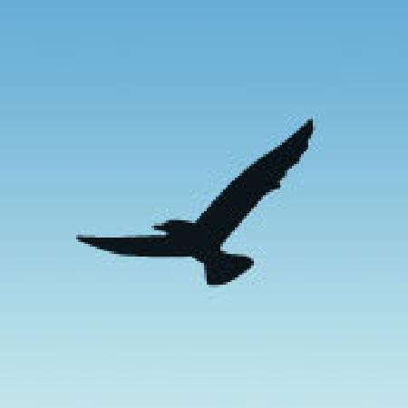 Dulra Nature Tours-Belmullet必去景点
