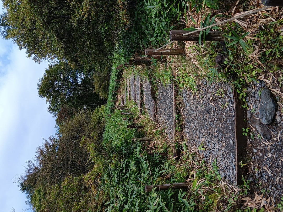 Kirifuri Highlands Kisuge Plain-日光市必去景点