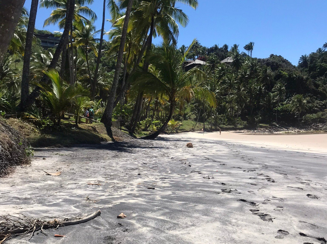 Sao Jose Beach-Itacare必去景点