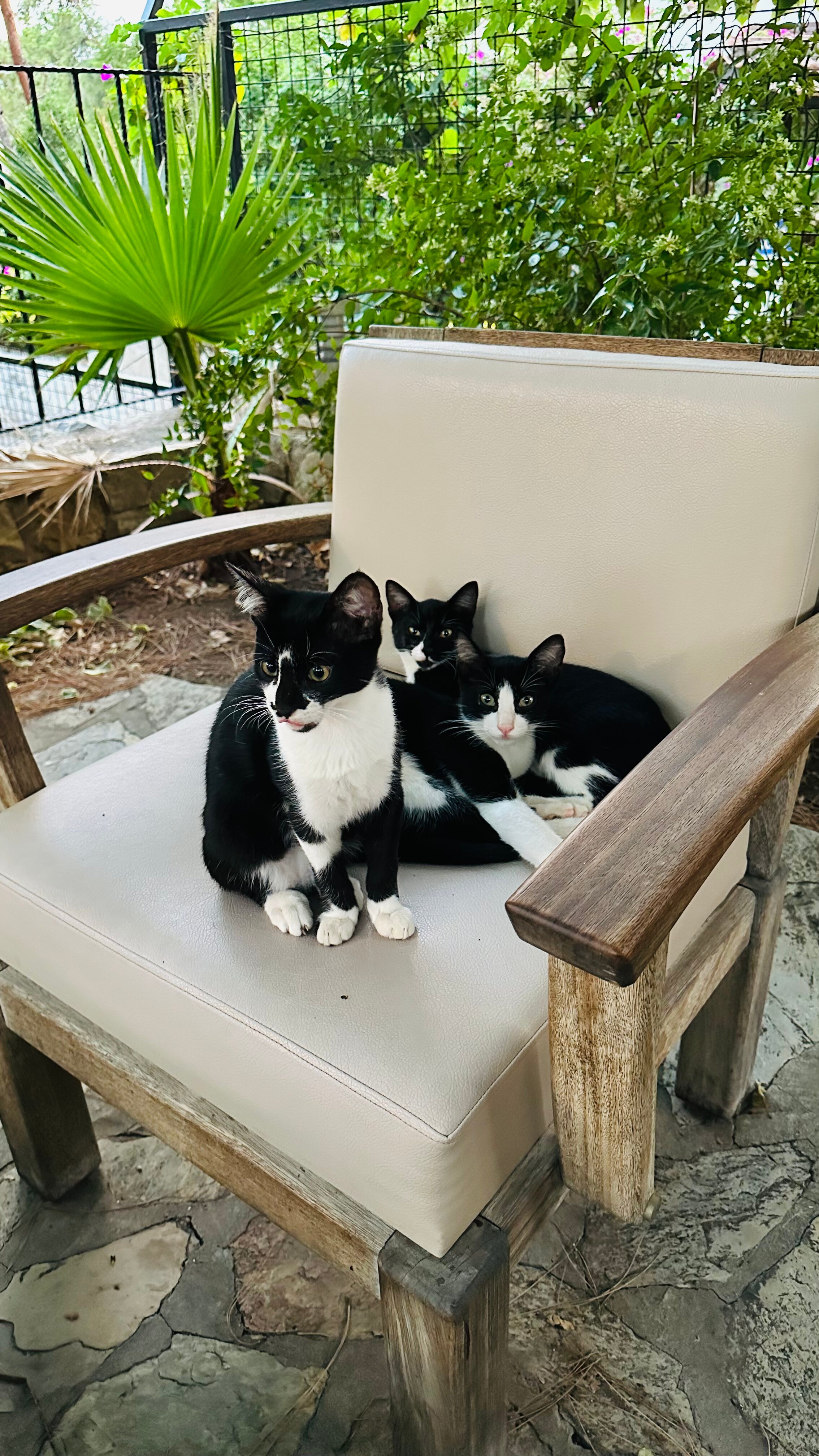 Totelya Hotel-家庭/游戏区