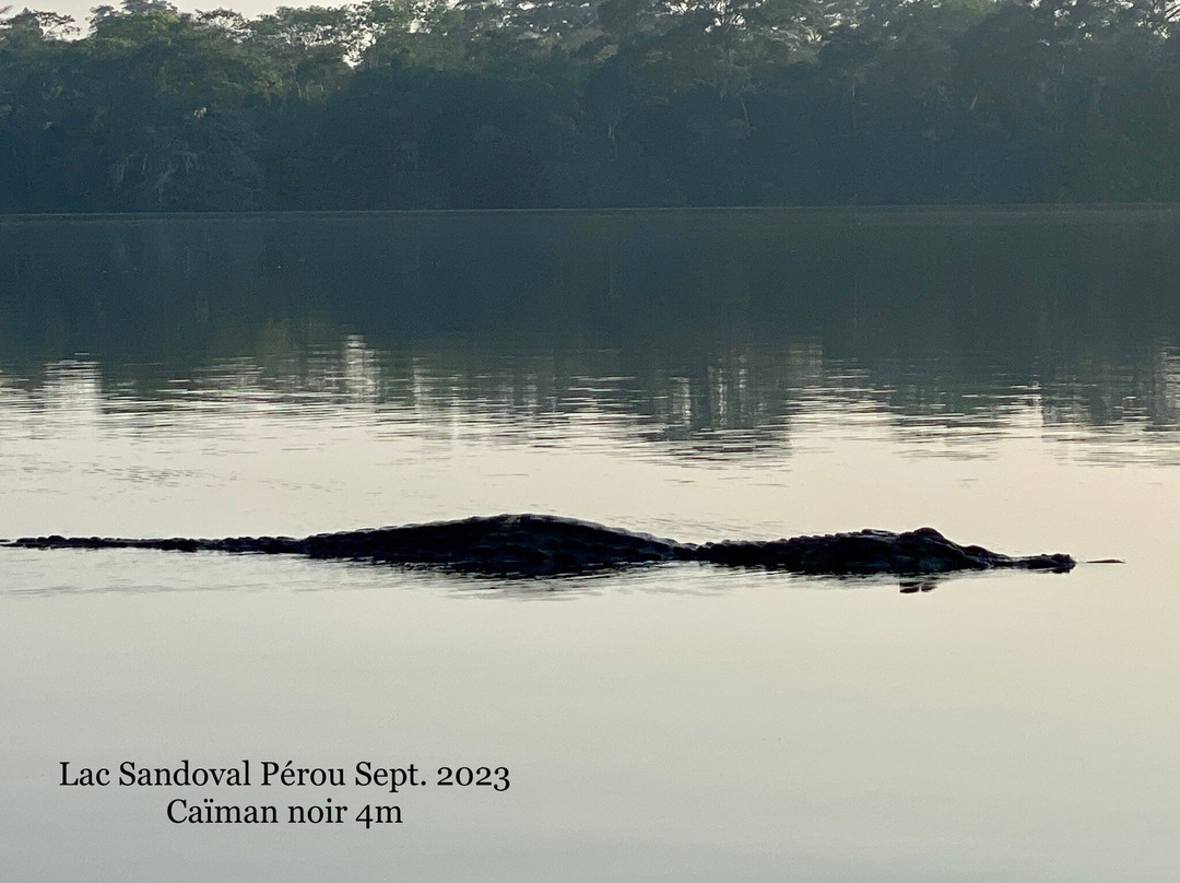 Tambopata National Reserve景点图片