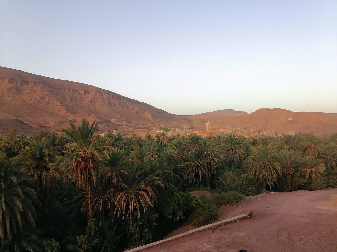 特蕾萨德里斯住宿加早餐旅馆主图