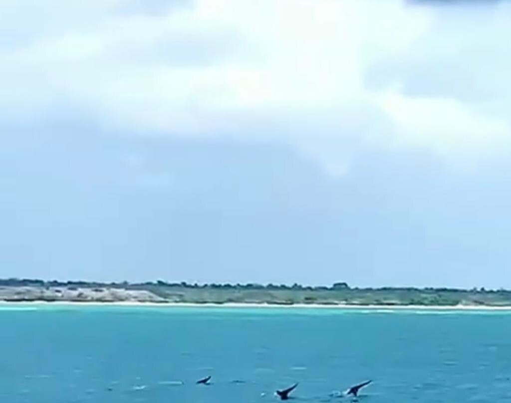 Stone Zanzibar Tours-石头城必去景点