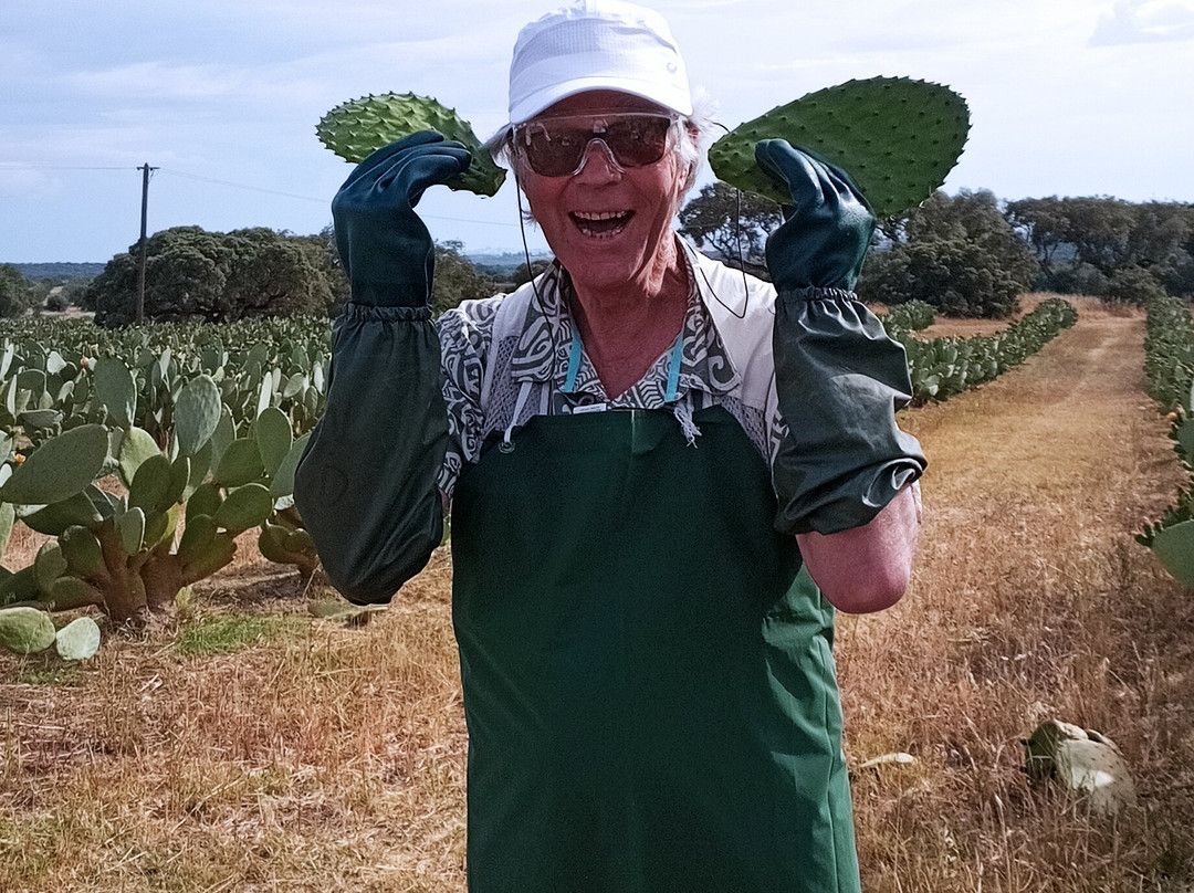 Pepe Aromas-Arraiolos必去景点