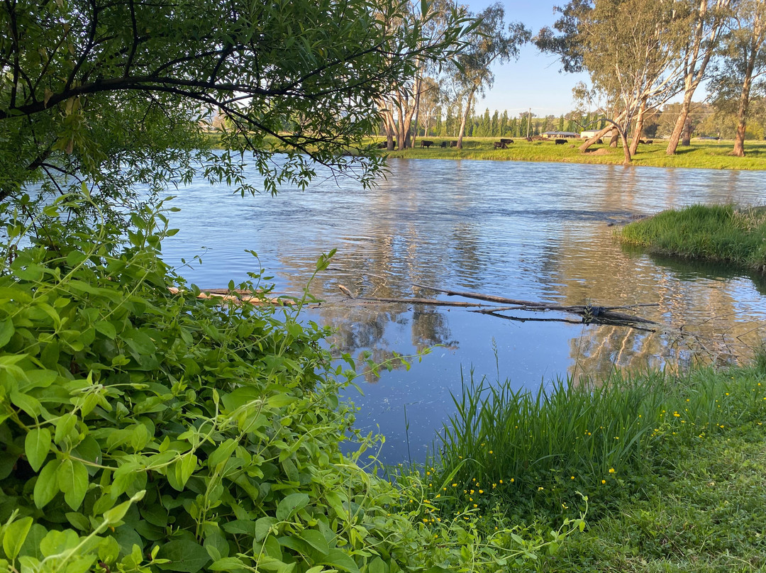 Tumut River景点图片