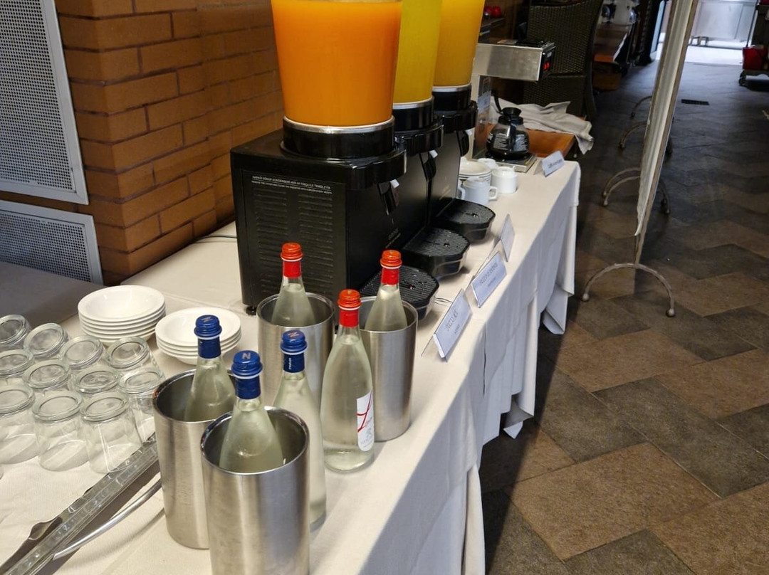 莱尼亚诺皇宫酒店主图