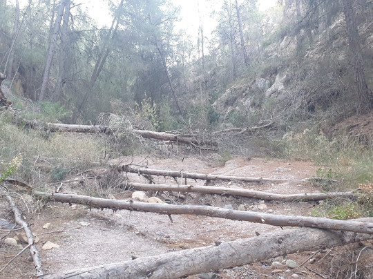 Rambla De Sangonera-Sangonera La Verde必去景点