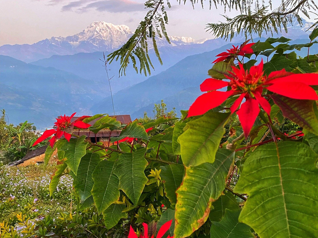 Annapurna Eco-Village主图