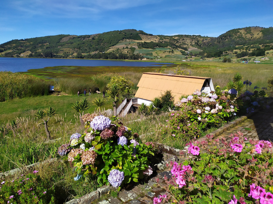 Hotel El Camino Real主图