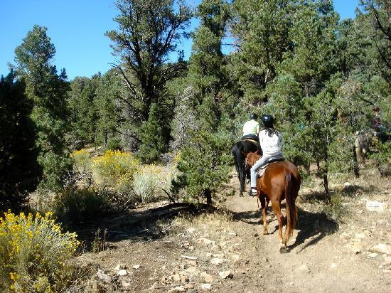 Baldwin Lake Stables-大熊湖必去景点