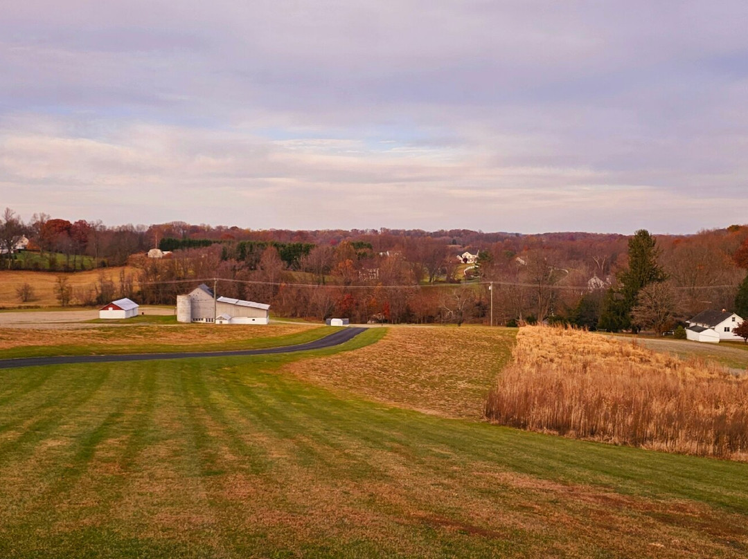 Joy in Hand Flower Farm-Forest Hill必去景点