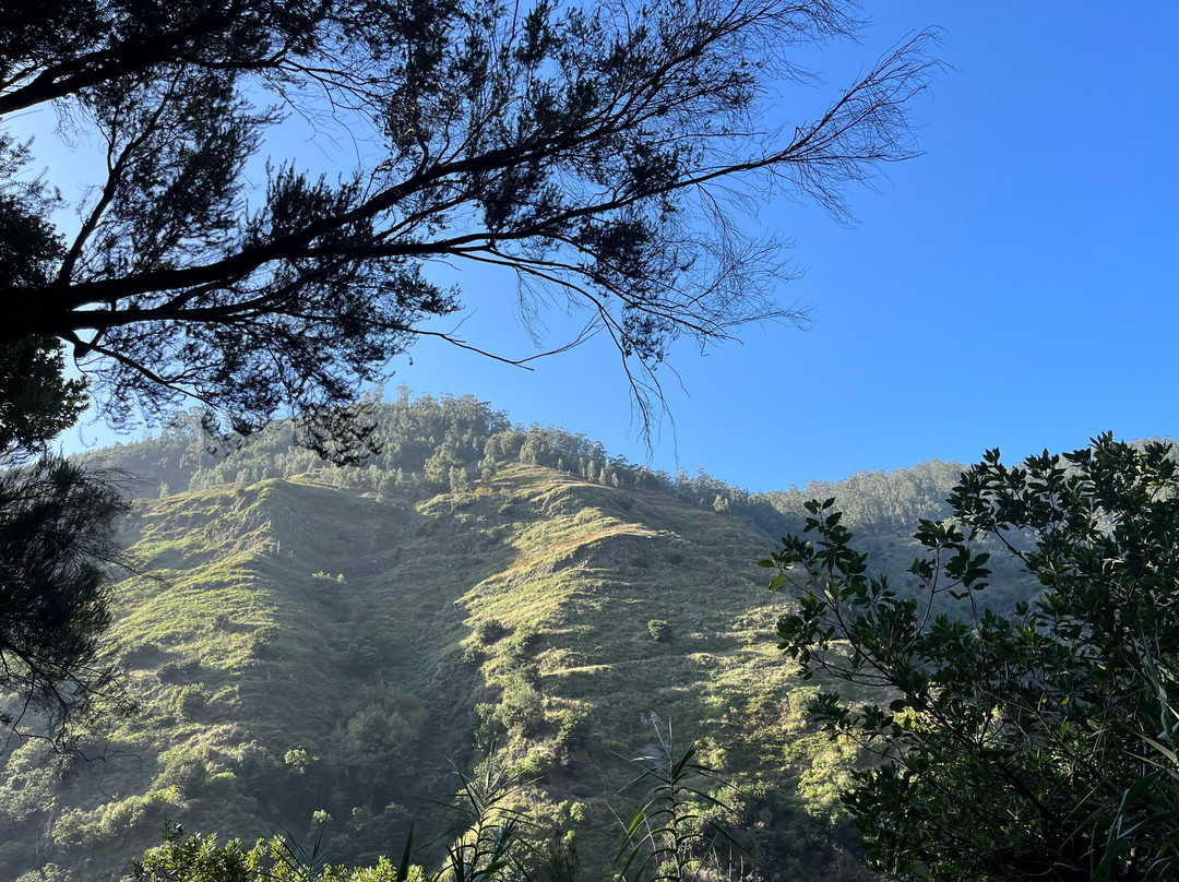 Levada do Moinho-Ponta Do Sol必去景点