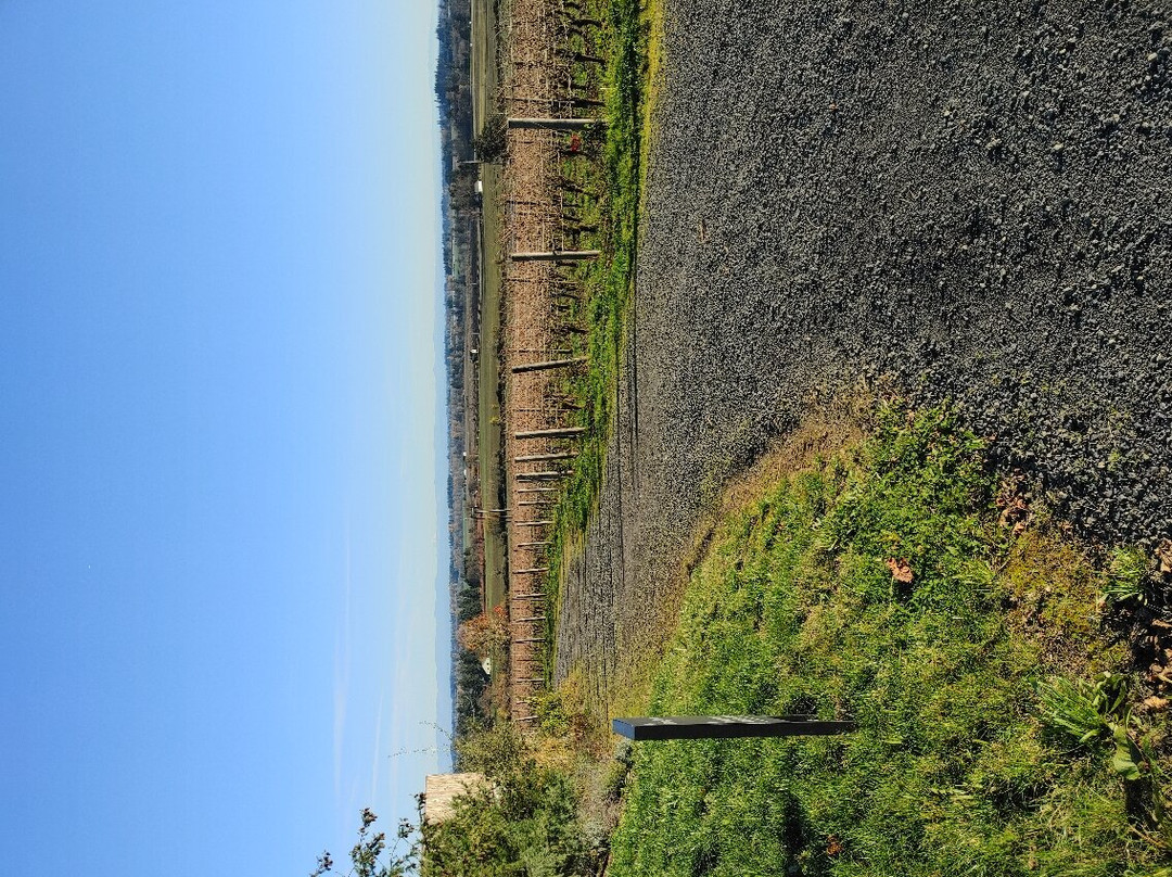 Domaine Willamette-Dayton必去景点