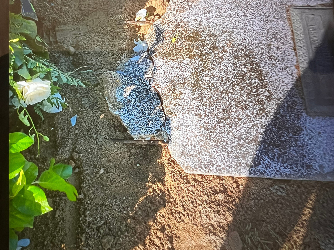 Cementerio Los Cipreses-Bayamon必去景点