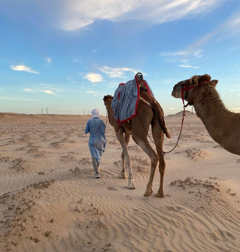 Sahraoui Village-达赫拉必去景点
