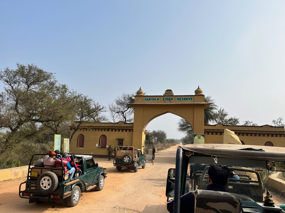 Spree Resort Sariska主图