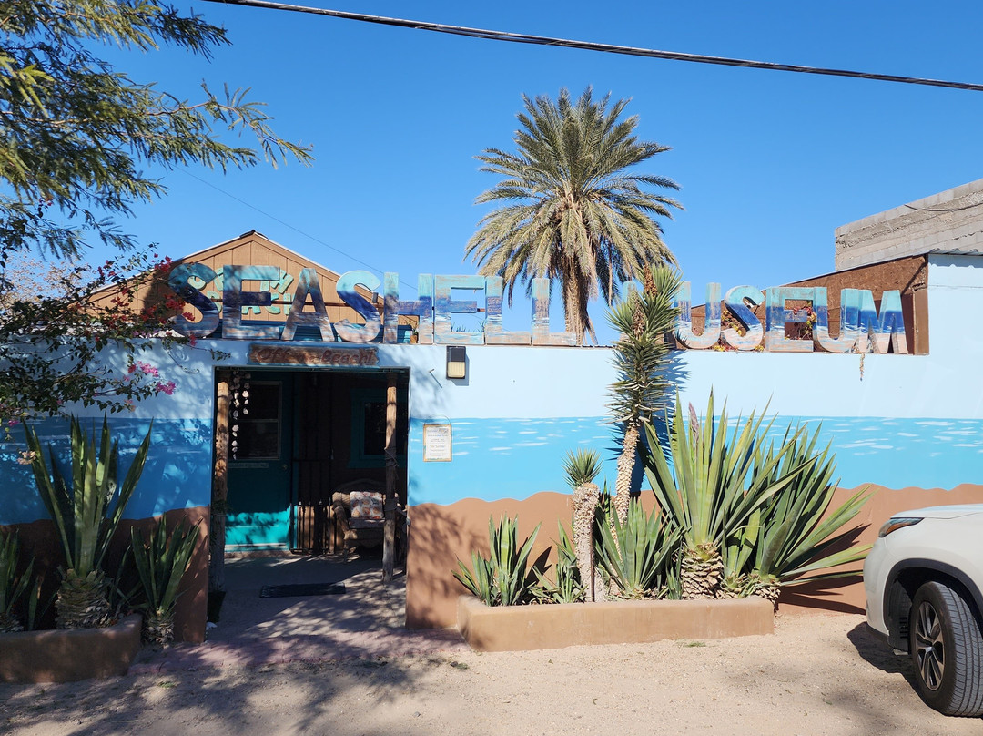 SeaShell Museum-佩纳斯科港必去景点