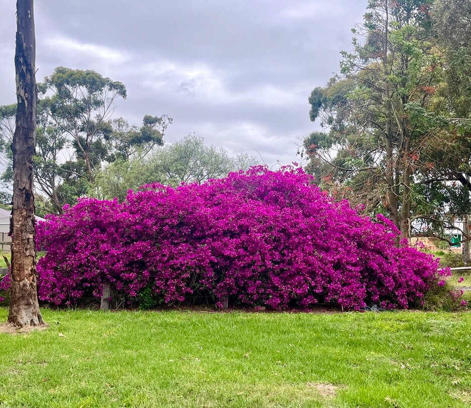 Tarra Yarram Motel主图