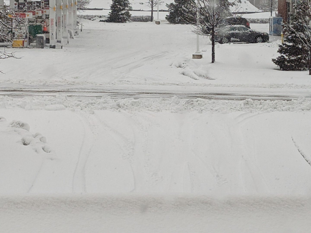 Hampton Inn & Suites Chicago-Libertyville主图