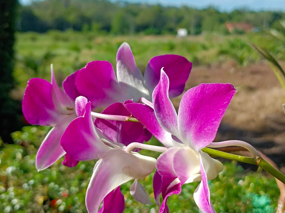 Phuket Airport Sonwa Resort