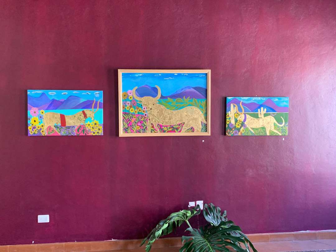 Hotel La Villa De Pozos主图